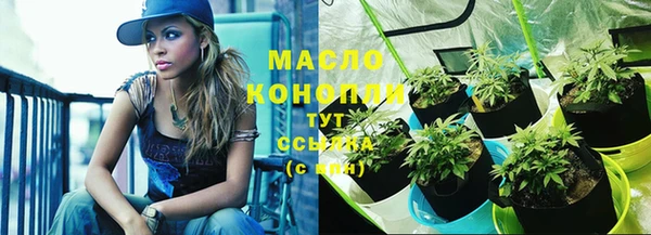 индика Липки