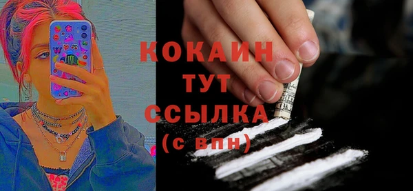 индика Липки