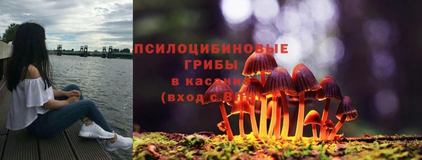 тгк Алексеевка