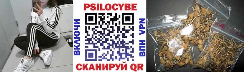 Псилоцибиновые грибы Cubensis  Тейково 